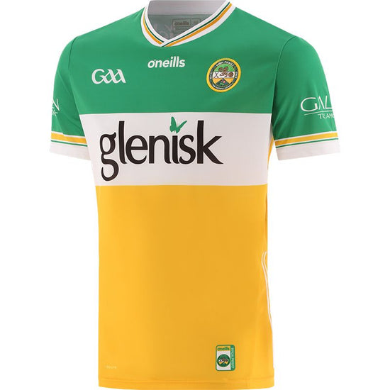 Offaly GAA 2024