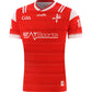 Louth GAA - 2024 Jersey