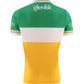 Offaly GAA 2024