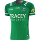 Limerick GAA 2024