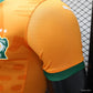 Ivory Coast Home 24/25