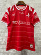 Louth GAA - 2024 Jersey